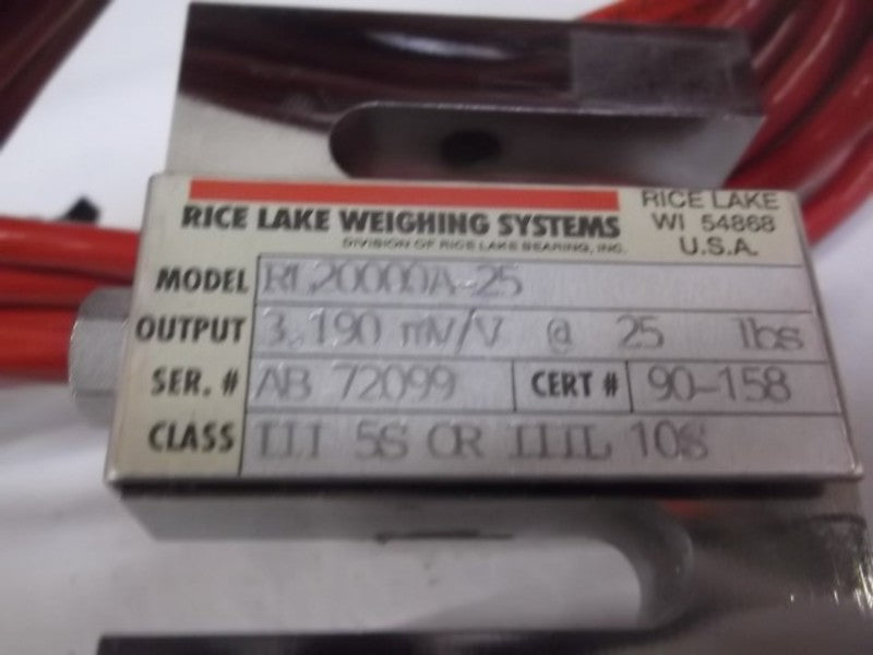 RICE LAKE RL20000A-25 WEIGHING SYSTEM  NSMP
