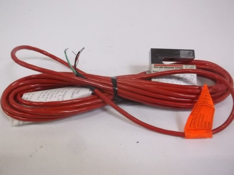 RICE LAKE RL20000A-25 WEIGHING SYSTEM  NSMP