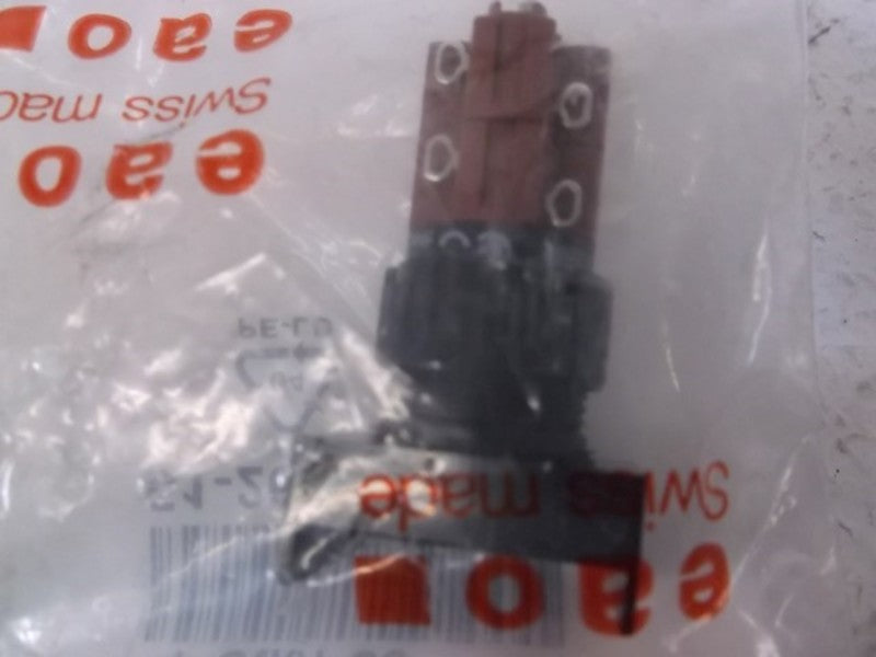 EAO 51-262.0252 SWITCH  NSNP IN BAG