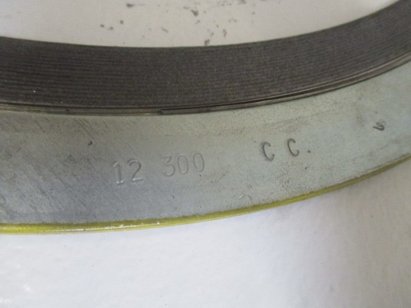 LAMONS 12" 300 (AS PICTURED) NSNP