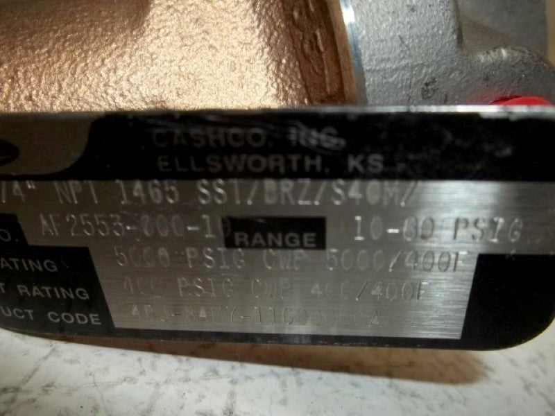 CASHCO NPT-1465 VALVE  NSNP