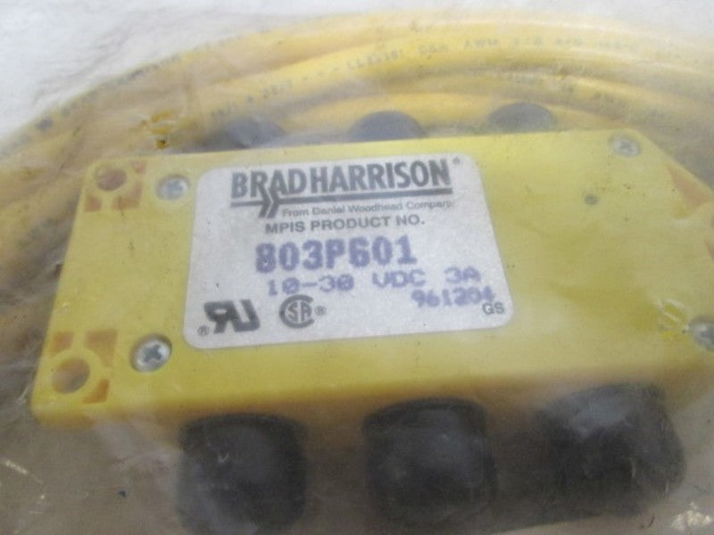 BRAD HARRISON 803P601 MULTI-PORT INTERCONNECT CORD  NSNP IN A BAG