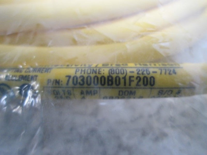 DANIEL WOODHEAD 703000B01F200 CORDSET  NSMP