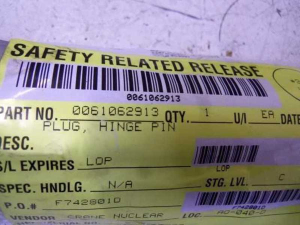 0061062913 HINGE PIN  NSNP