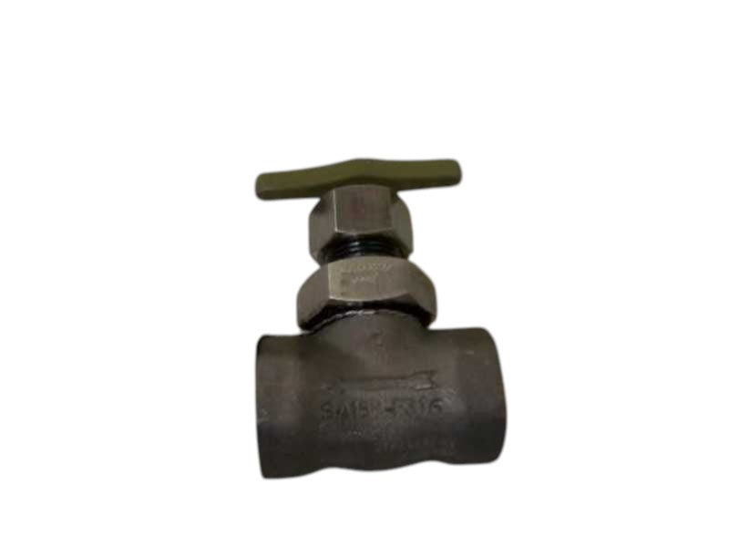 BW/IP SA182-F316  NSNP