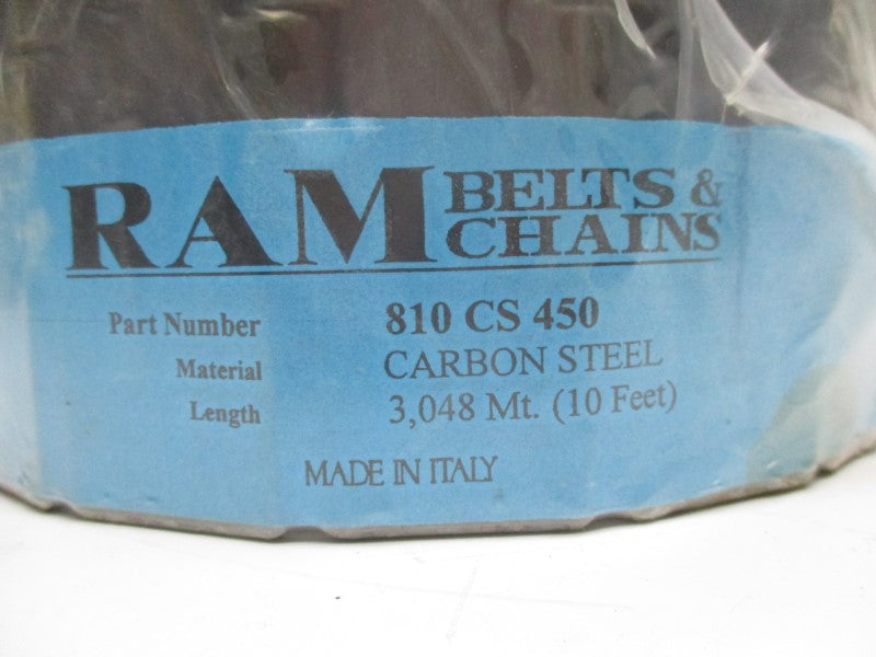 RAM 810CS450 10FT NSNP