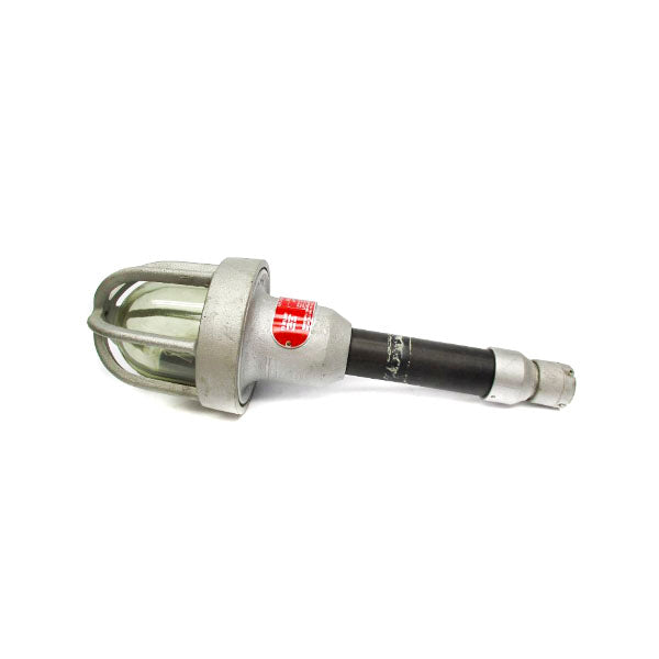 APPLETON EHL-100 250V NSNP