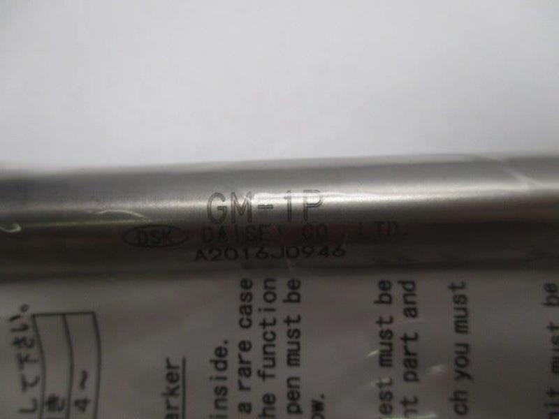 DAISEI GM-1P  NSNP