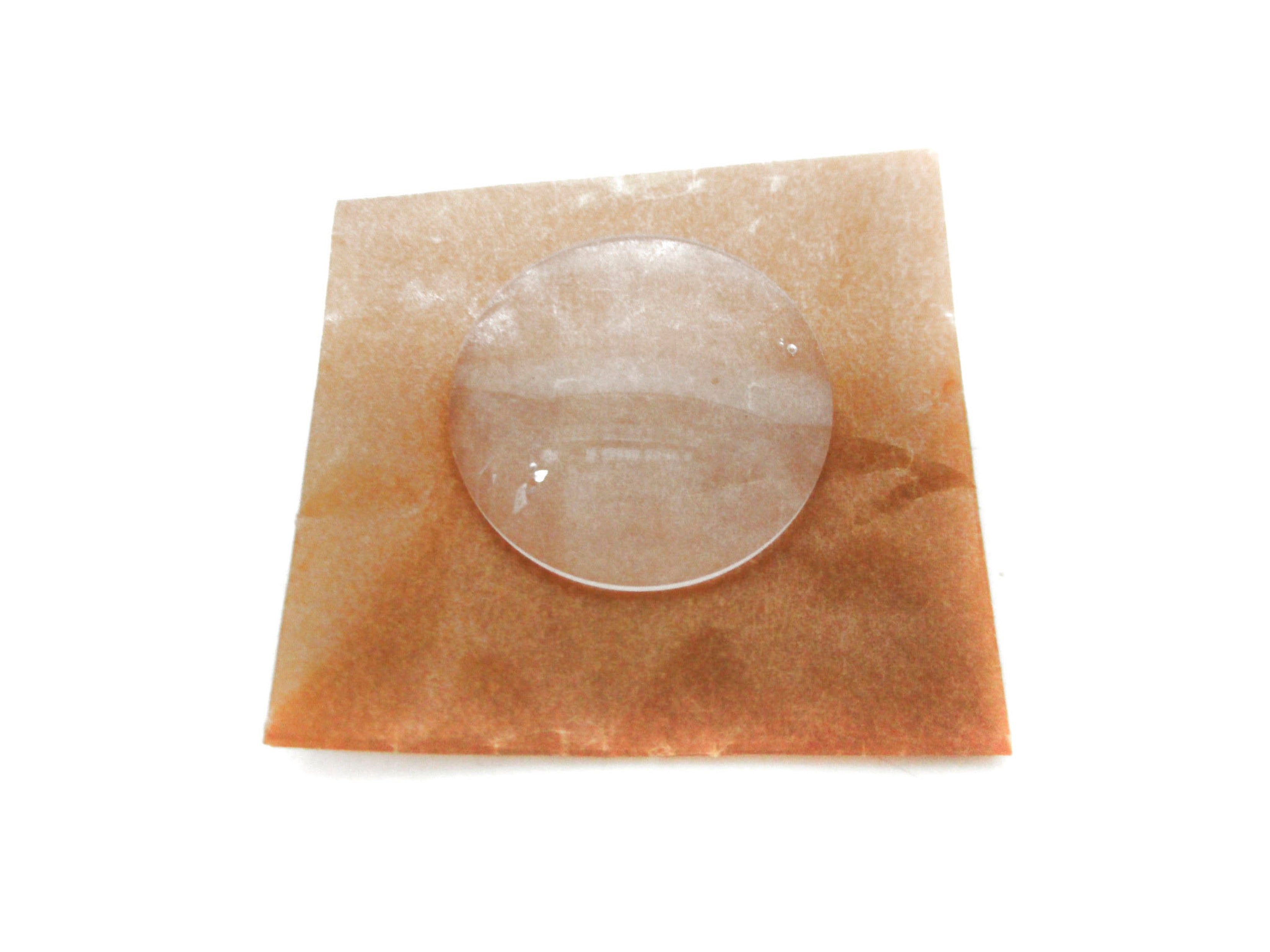 LENS 124204 NSNP