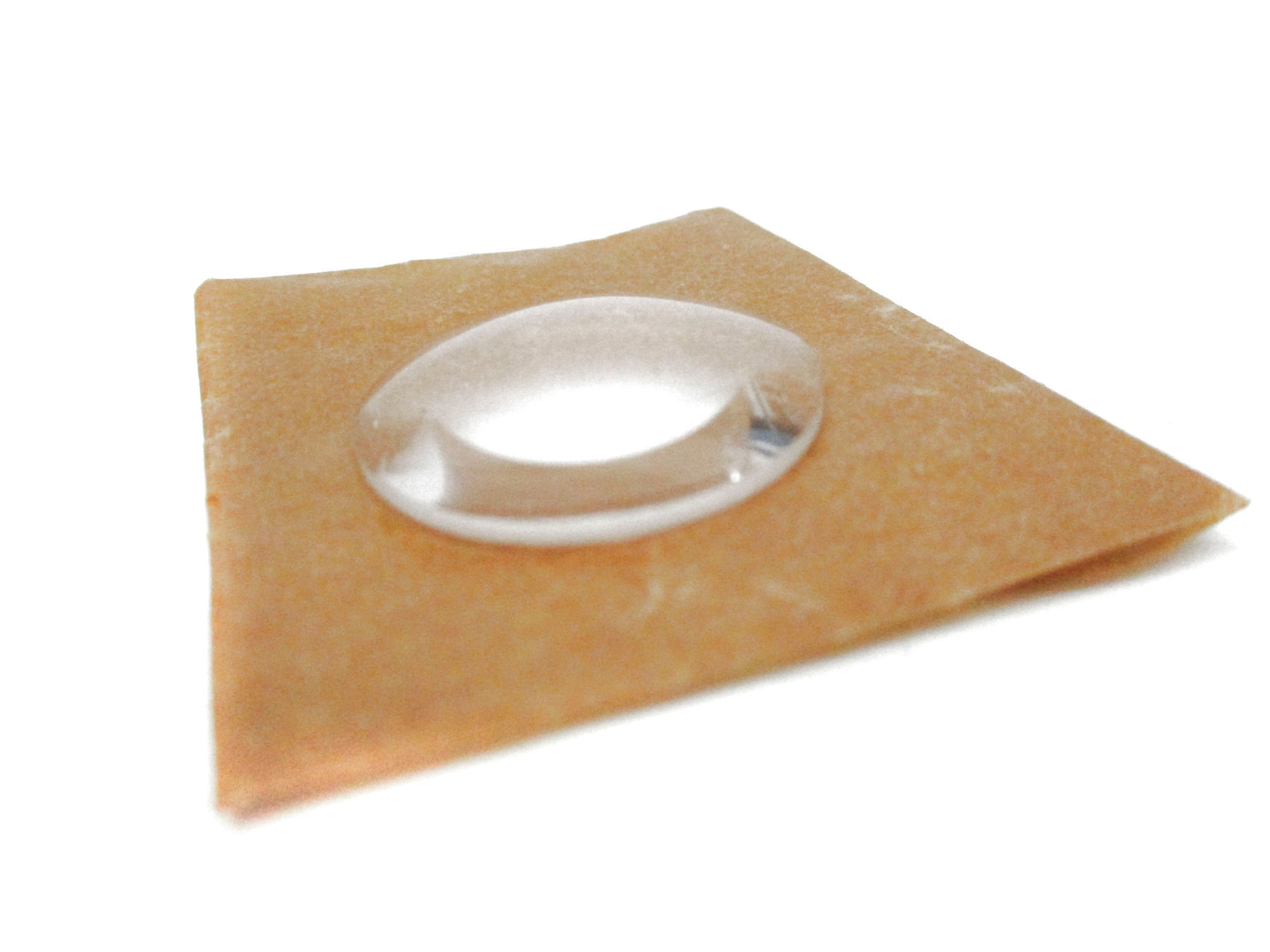 LENS 124204 NSNP