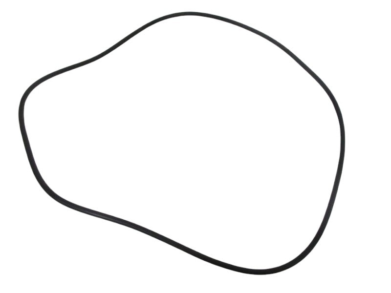 FISHER 1H862306992 O-RING NSNP