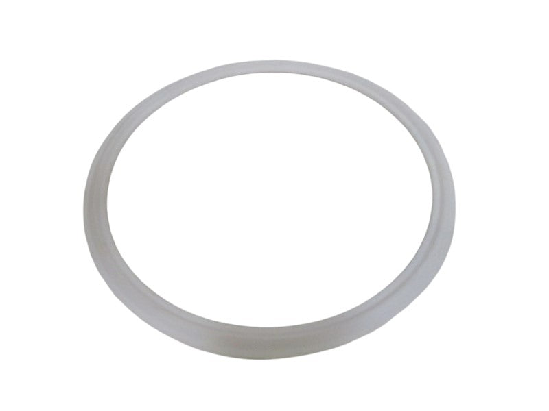 FISHER 22A896X012 SEAL RING NSNP