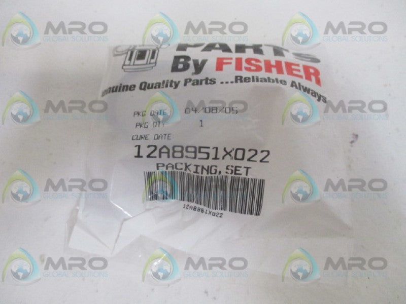 FISHER RV100X00C72 VALVE REBUILD REPAIR KIR 8" NSMP