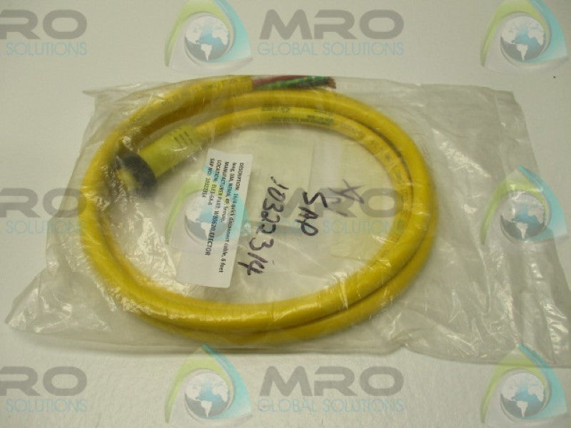 DANIEL WOODHEAD W80620 41108 CABLE 6FT  NSMP
