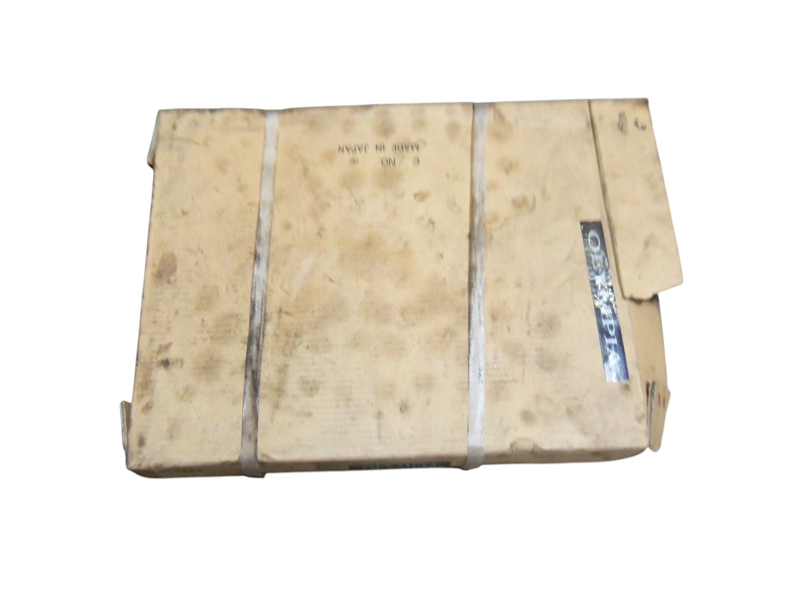 OLYMPIA BL1244 CHAIN NSMP