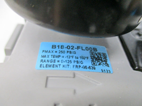 WILKERSON D18-02-FLG0B 1-125PSI NSNP