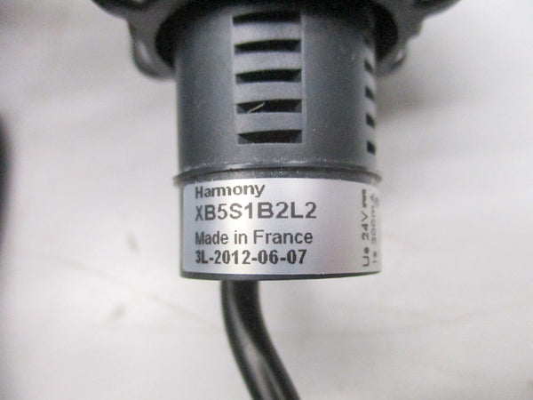 SCHNEIDER ELECTRIC XB5S1B2L2 24V NSNP
