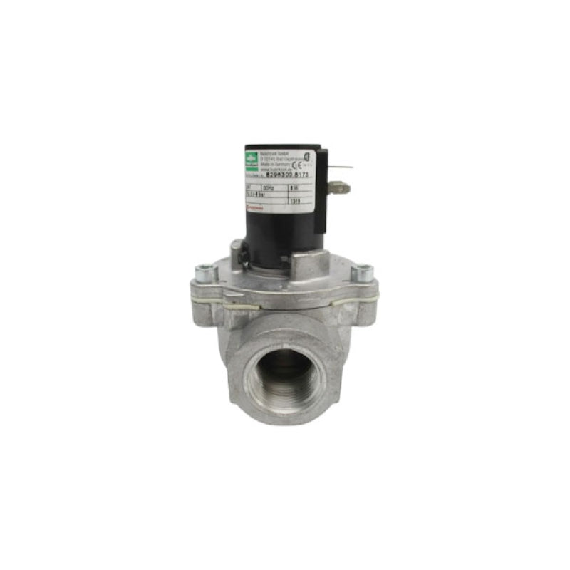 BUSCHJOST 8296300.8173 24V NSNP