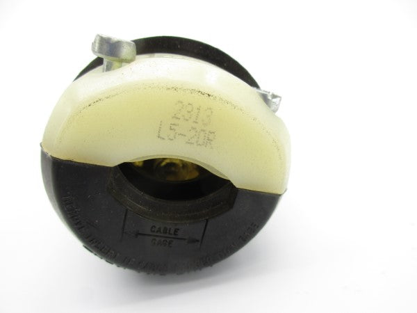 LEVITON 2313 L5-20R 125V 20A NSNP