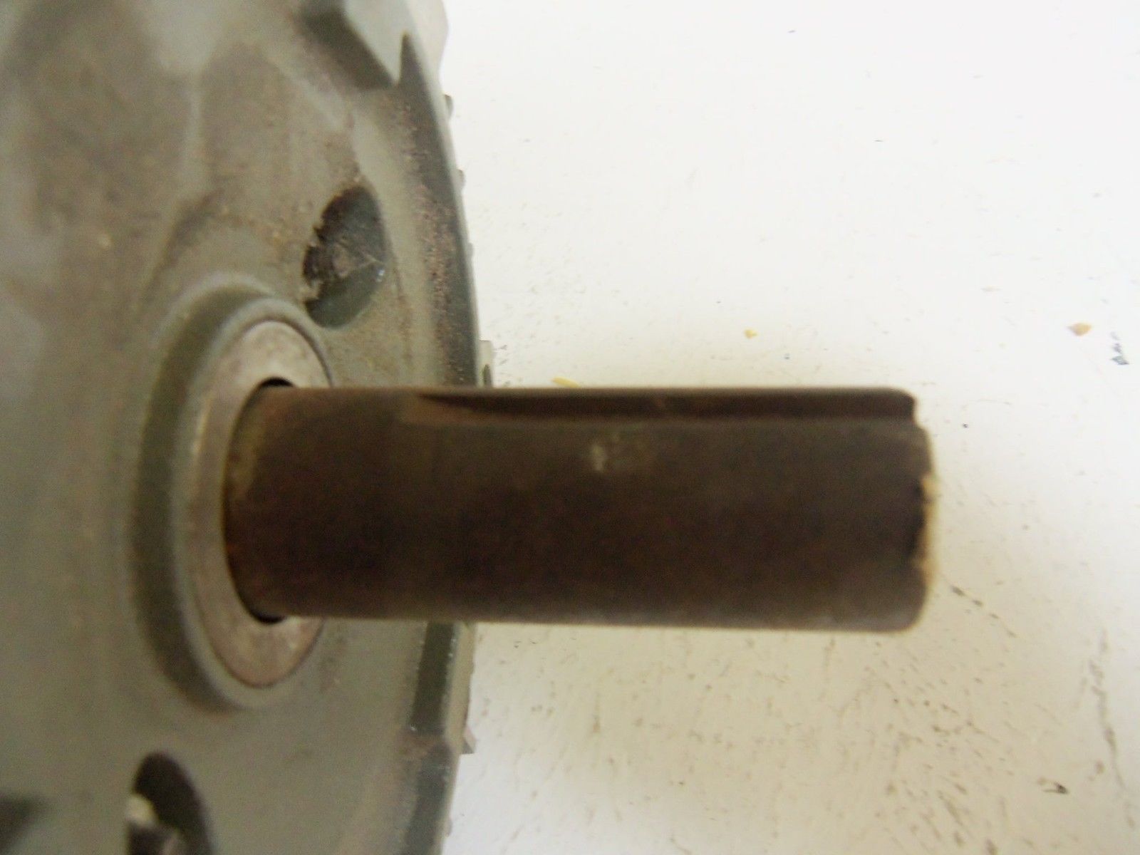 US MOTOR F029 MOTOR UNMP