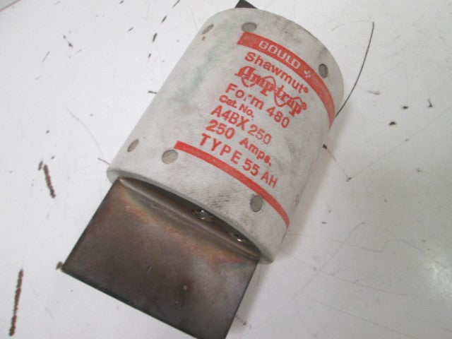 Gould Ferraz Shawmut Mersen A4BX250 NSNP **GENUINE**