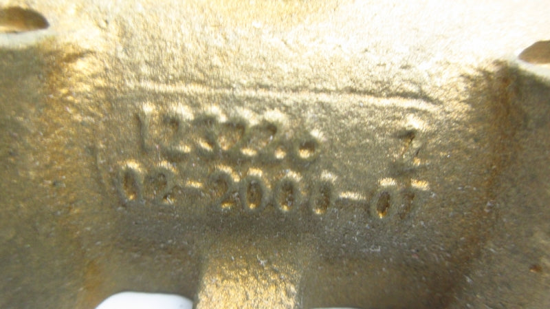 WILDEN 02-2000-07 123226 2" NSNP