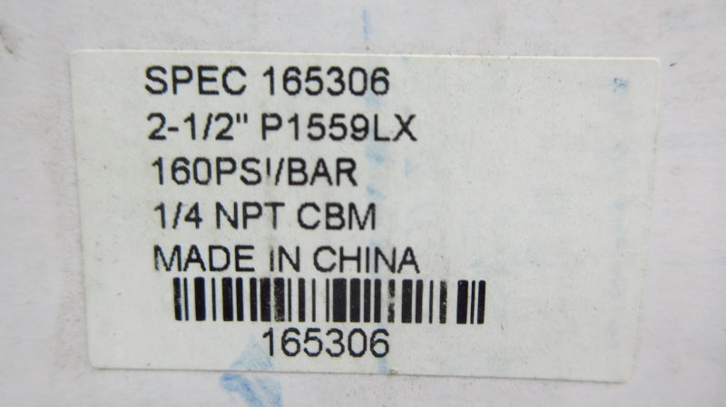 AMETEK 165306 160PSI 2-1/2" NSMP