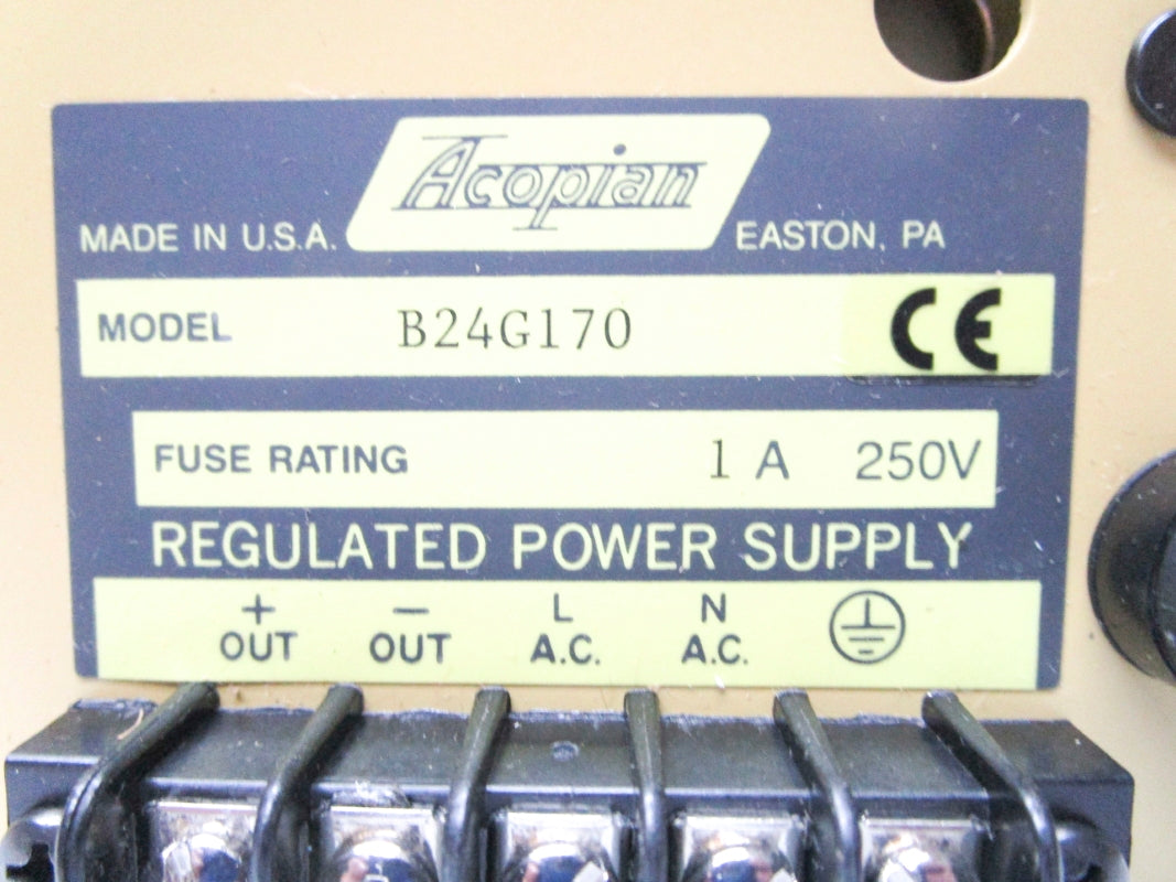 ACOPIAN B24G170 1A 250V NSMP