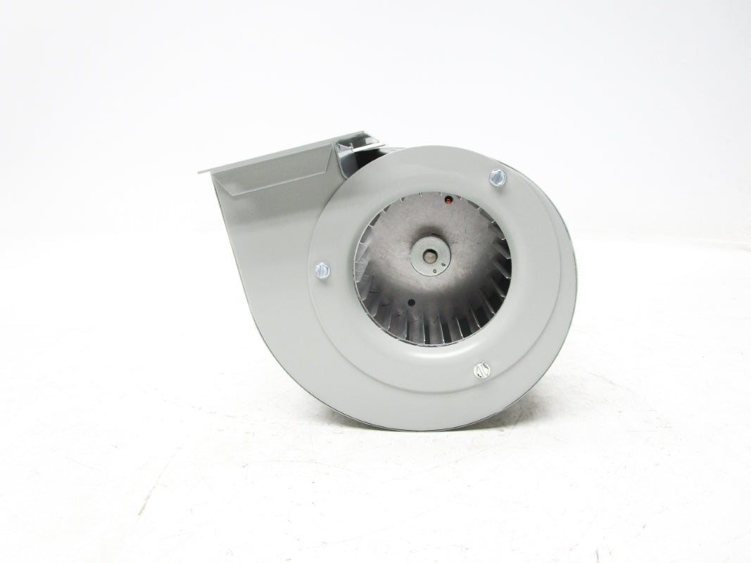 HOFFMAN 38201904 NSNP