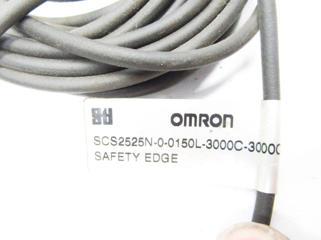 OMRON SCS2525N-0-0150L-3000C-3000C NSNP