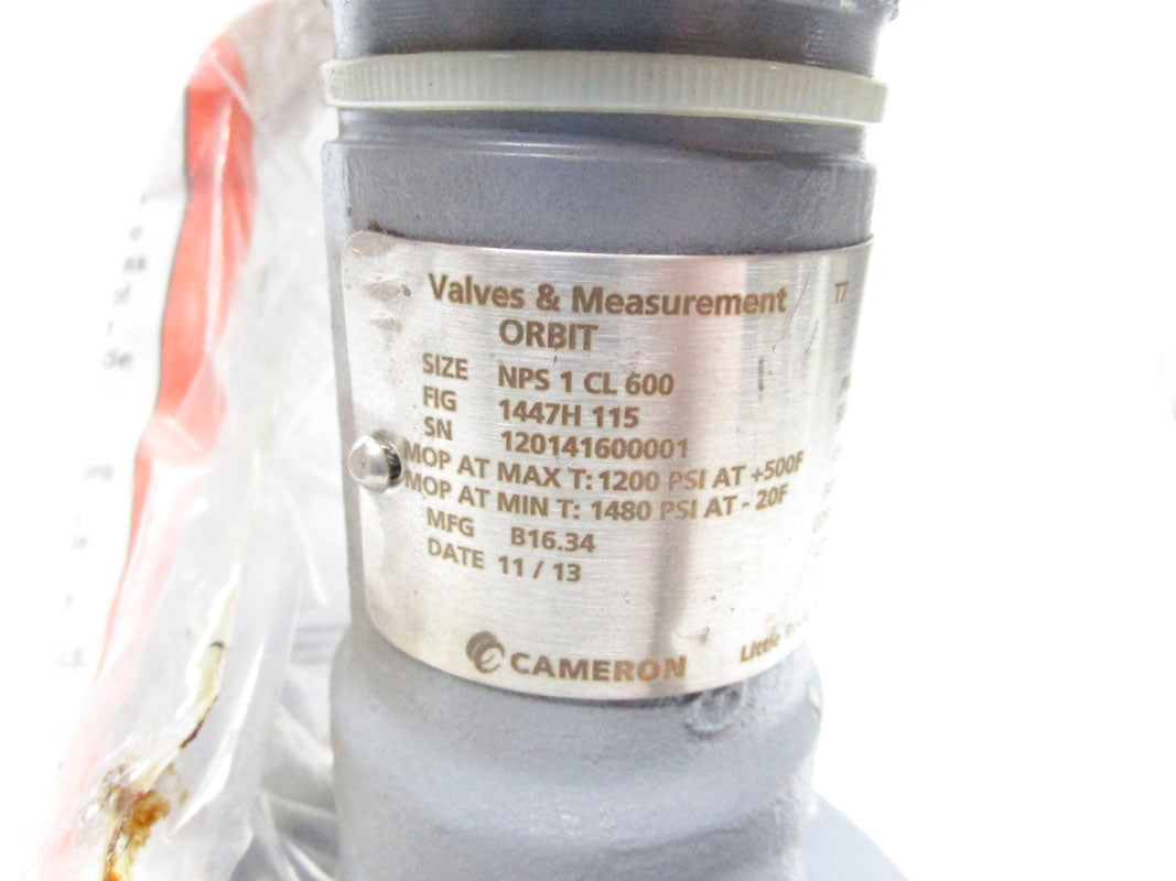 CAMERON B16.34 NPS1CL600 1480PSI NSNP