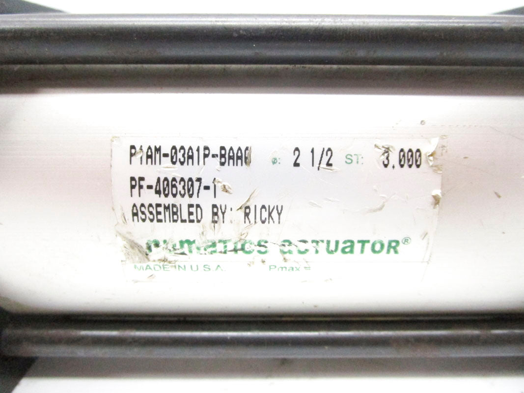 NUMATICS P1AM-03A1P-BAA0 UNMP