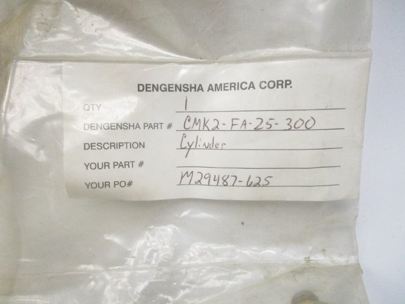 CKD CMK2-FA-25-300FL249201 NSMP