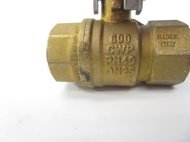 RUBINC 600CWPPN40DN25 NSNP