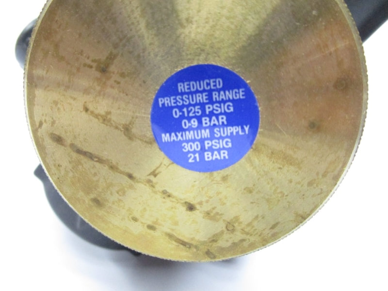 WATTS R119-08CM2 300PSI NSMP