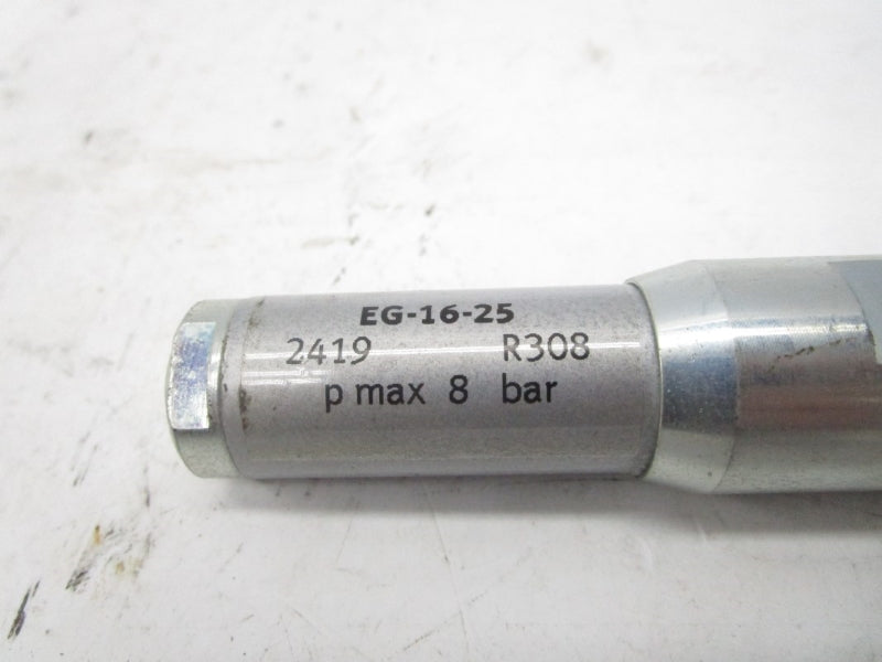 FESTO EG-16-25 2419 SER. R308 NSNP