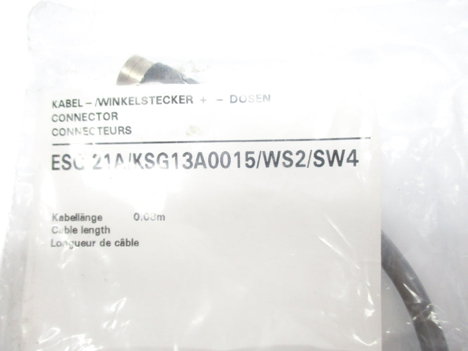 BAUMER ELECTRIC ESG 21A/KSG13A0015/WS2/SW4 NSMP