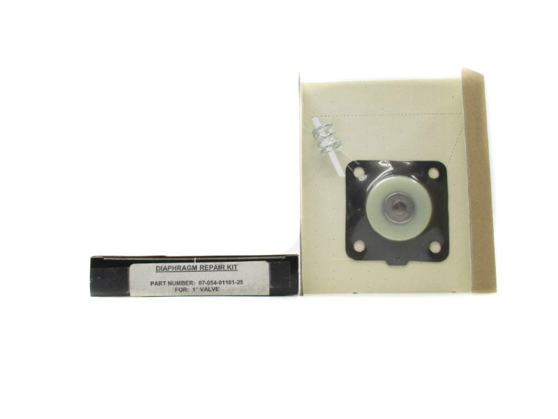 DUSTEX 07-054-01101-25 1" NSMP