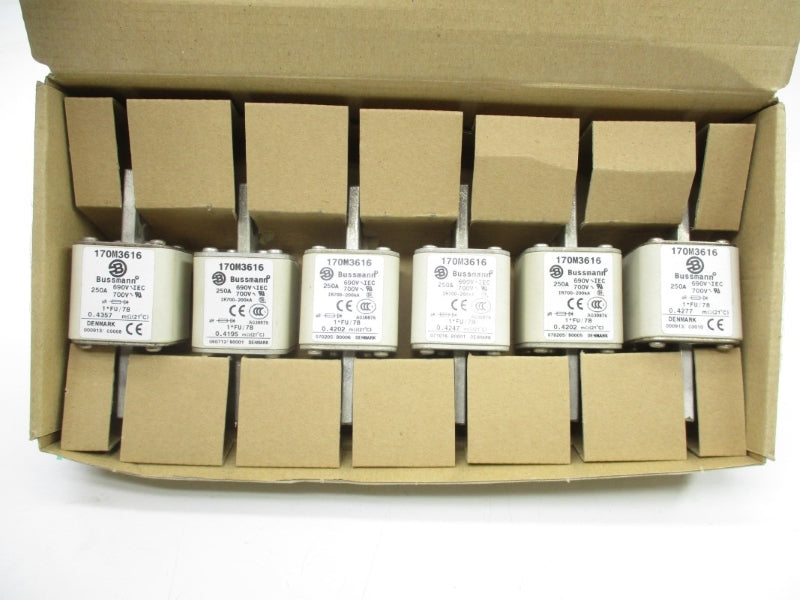 BUSSMANN 170M3616 700V 250A (PKG OF 6) NSMP