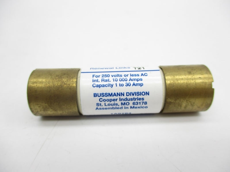 BUSSMANN REN-10 250VAC 10A (PKG OF 10) NSMP