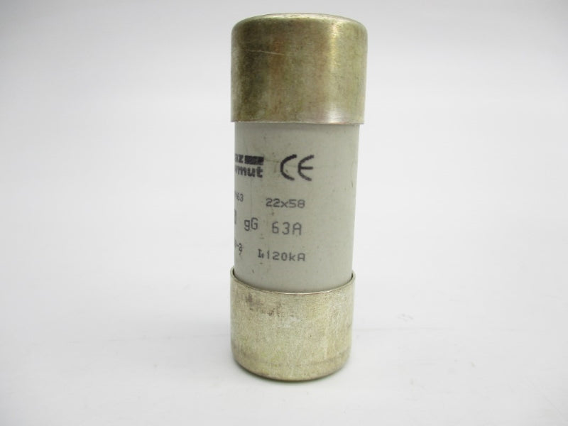 FERRAZ SHAWMUT FR22GG69V63 690V 63A NSNP