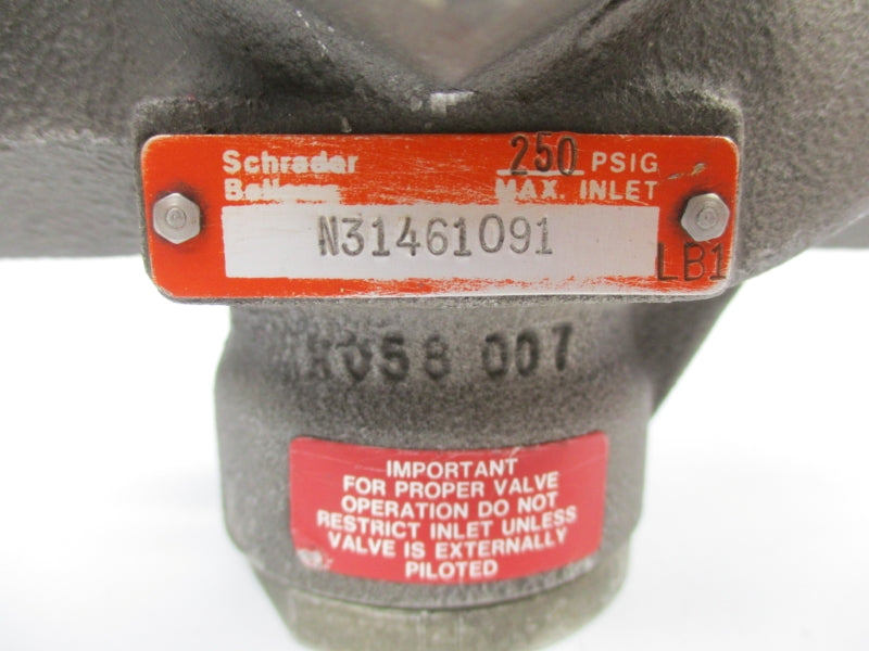 SCHRADER BELLOWS N31461091 250PSI NSNP