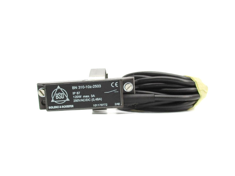 BOLENZ&SCHAFER BN310-10Z-2503 250VAC/DC 0.48A NSNP
