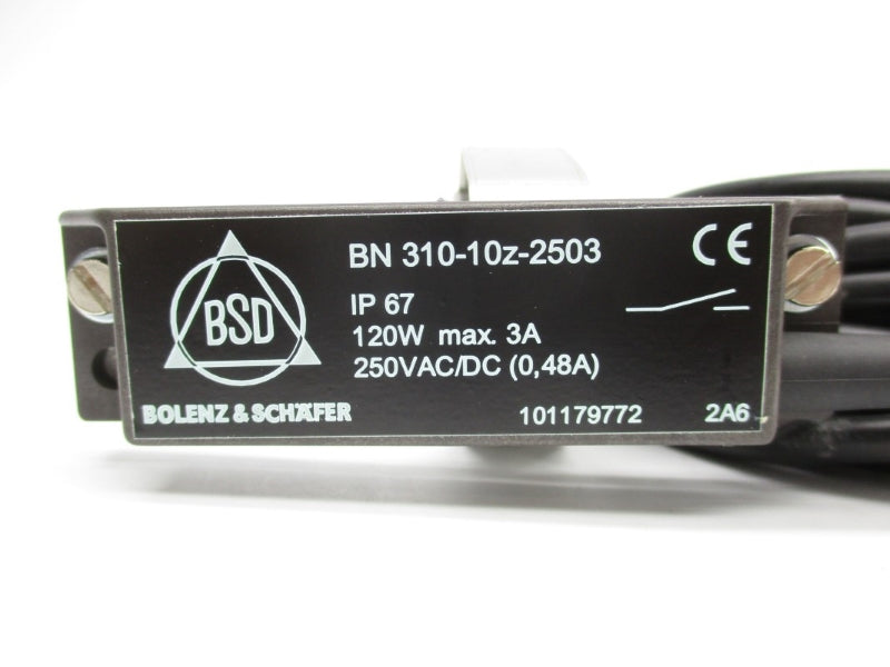 BOLENZ&SCHAFER BN310-10Z-2503 250VAC/DC 0.48A NSNP