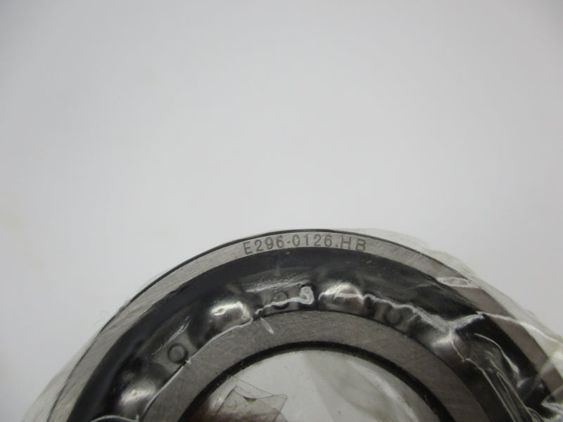 FAG 6005 NSMP