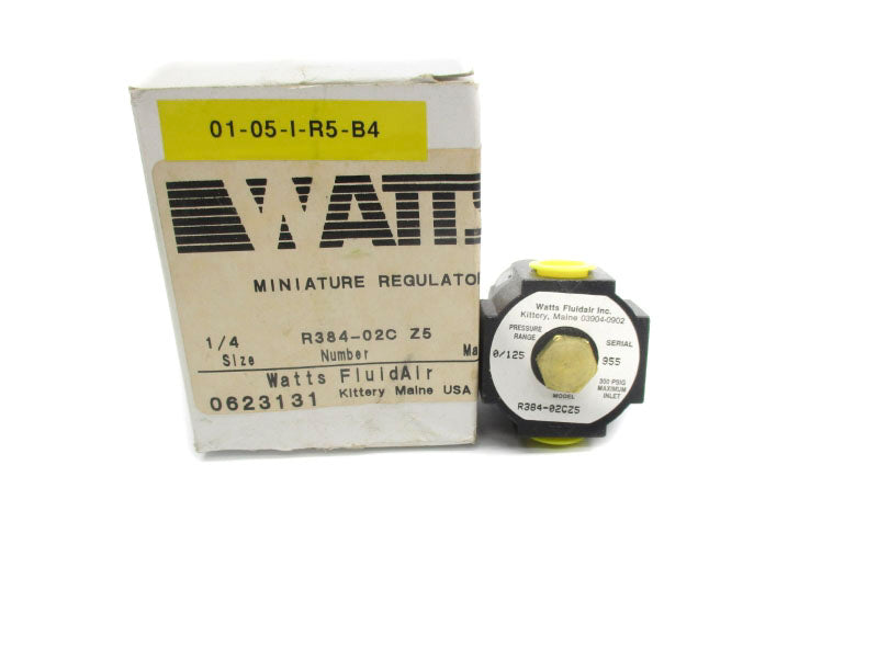 WATTS R384-02CZ5 300PSI 1/4" NSMP