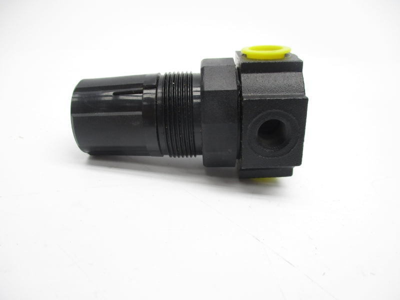 WATTS R384-02CZ5 300PSI 1/4" NSMP