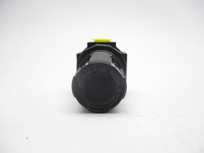 WATTS R384-02CZ5 300PSI 1/4" NSMP
