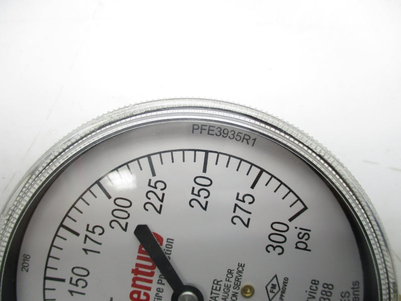 WINTERS PFE3935R1 0-300PSI NSNP