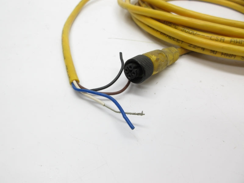 ALLEN BRADLEY 889D-F4AC-5 SER. B 250VDC 4A UNMP